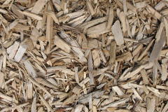 biomass boilers Curtisknowle